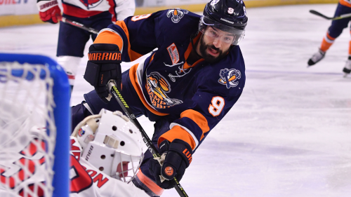Greenville Swamp Rabbits Announce a Return to the Ice