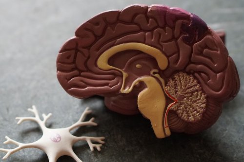 Santé : l'iPhone et l'Apple Watch pour détecter un déficit neurocognitif ?