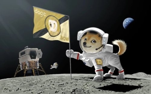 SpaceX to Accept Dogecoin Payment for ‘DOGE-1’ Lunar Mission