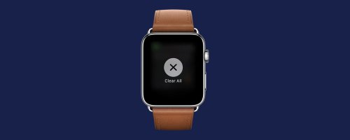 How to Clear All Notifications on Apple Watch At Once