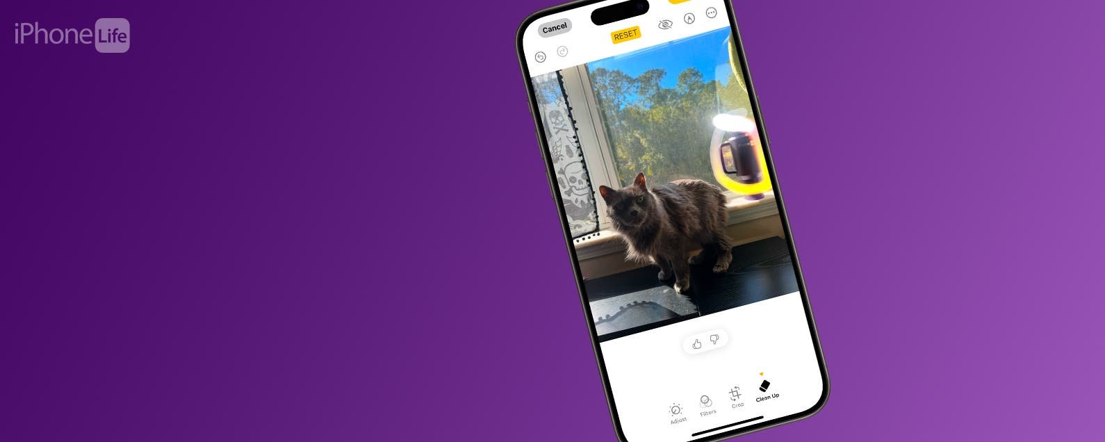Remove People from the Background of Photos on iPhone Flipboard