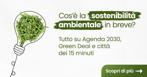 Cos’è la sostenibilità ambientale in breve? Agenda 2030