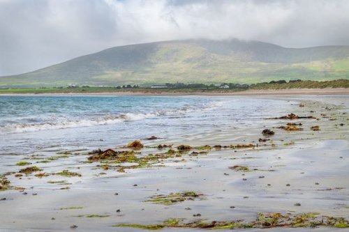 The epic Battle of Ventry, a fight against the King of the World
