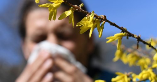 From masks to handy washing line trick - How to manage hay fever symptoms