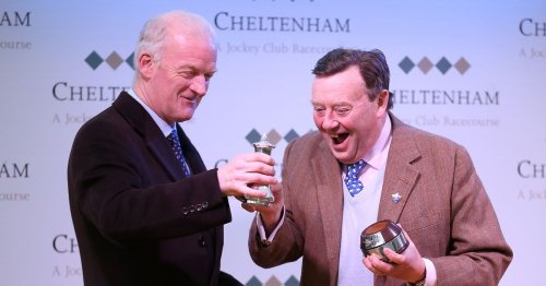 Willie Mullins beats Nicky Henderson in battle to purchase Cheltenham winner for €355,000