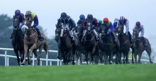 Galway Races Sunday race card and tips - full list of runners on day 7