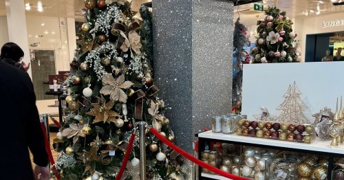 Brown Thomas shoppers shook as Christmas area opens in Dublin store