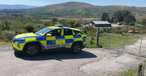 Michael Gaine search LIVE updates as Gardai declare farmyard a crime scene after discovery