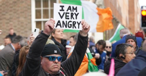 Calls for 'sterilised zones' around Leinster House after 'chaotic' protests