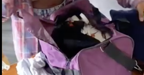 We tried the viral Dealz bag for travelling and were surprised at the results