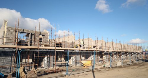 'Ireland's housing crisis stinks of gross incompetence and action needs to be taken'