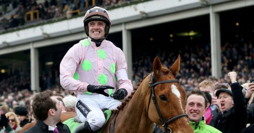 First foal of legendary mare Annie Power to make racecourse debut for JP McManus