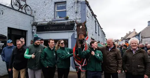 Willie Mullins outlines ambitious plan for Grand National winner I Am Maximus