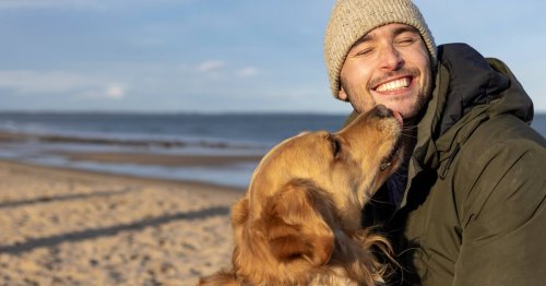 'I'm a vet and you should never ignore these signs your dog may be having a stroke'