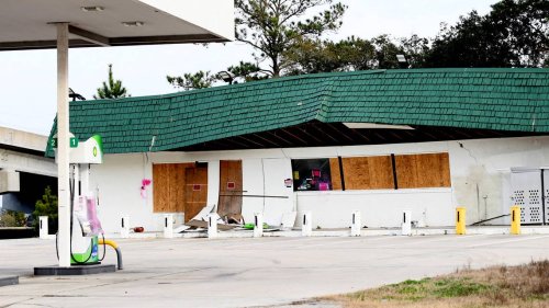 The well-traveled entrance to Hilton Head Island is going to the dogs | Opinion