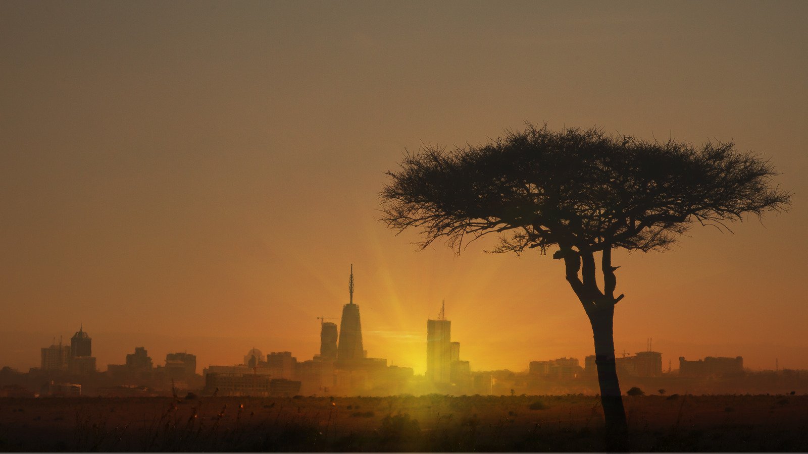 A Cosmopolitan City That's 'One Of Africa's Hippest Destinations' Is The World's Safari Capital