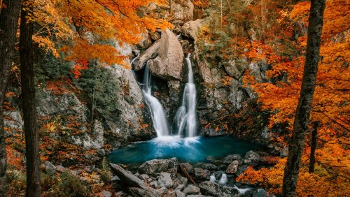 Massachusetts' Highest Single-Drop Waterfall Thrives In An Underrated State Park With Dramatic Trails