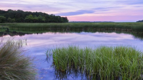 South Carolina's Lowcountry Is The Most Soulful Coastline With Cute Towns And Destination-Worthy Cuisine