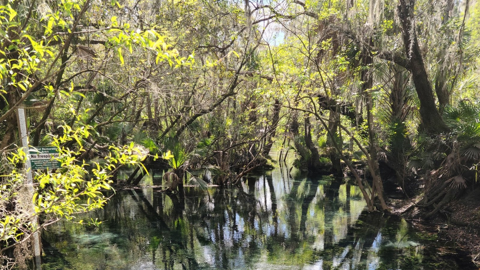 Halfway Between Indianapolis And Bloomington Is A Scenic Nature Preserve With A Trail, Ravines, And Rare Wildlife