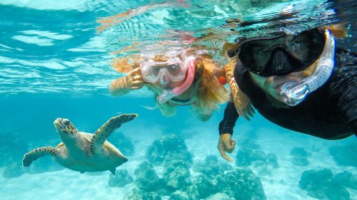 18 Most Stunning Snorkeling Destinations In The US