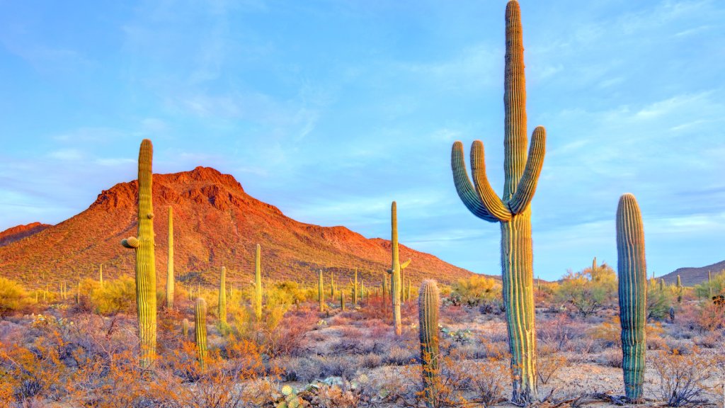 Arizona