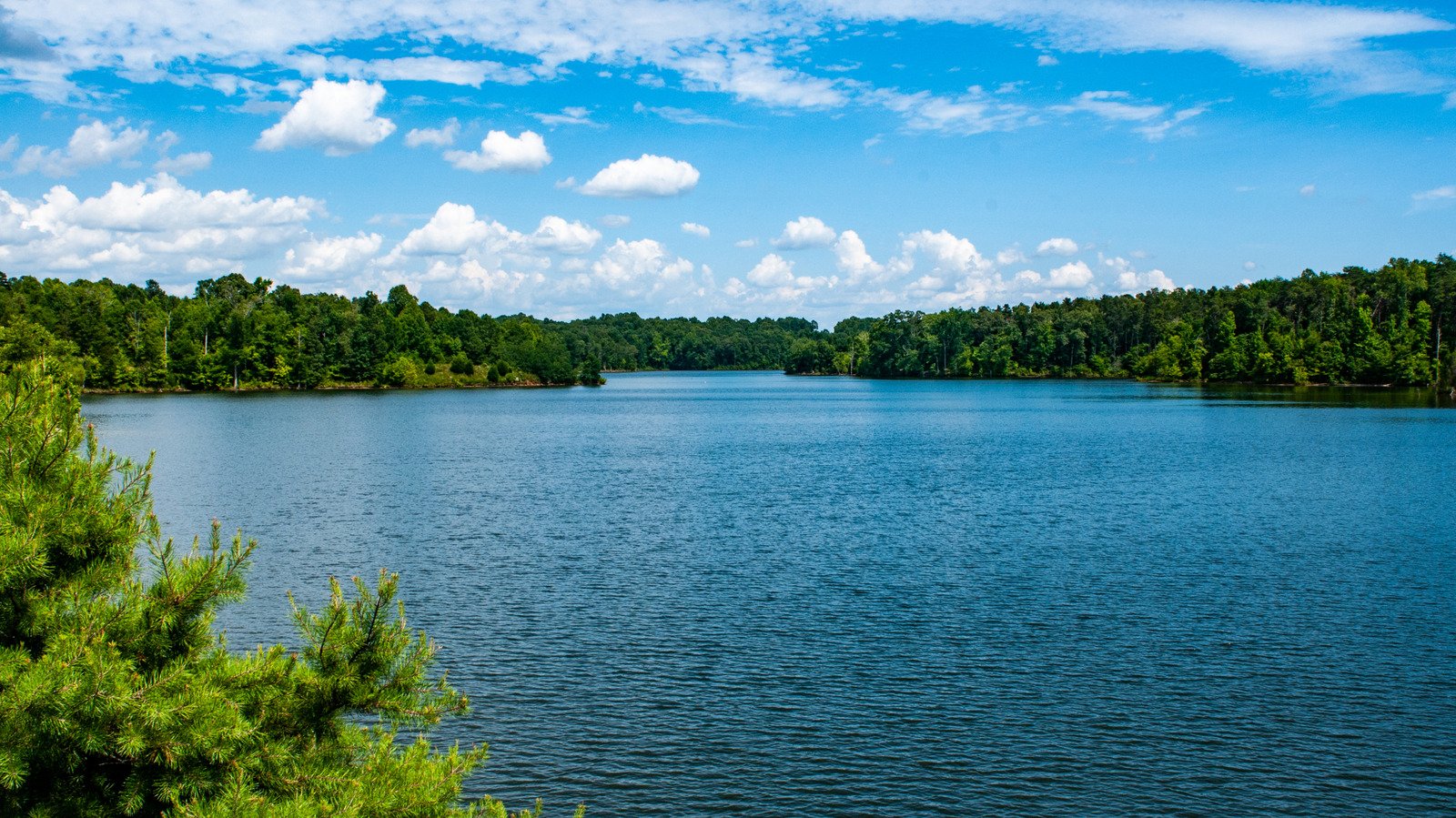North Carolina's Dazzling Lake Near Greensboro Is A Fishing And Paddleboarding Paradise With A Scenic Shoreline