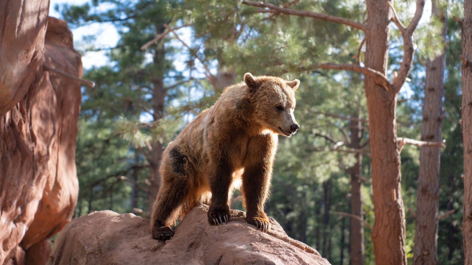 Situated Between Prescott And Grand Canyon National Park Is Arizona's Most Unique Wildlife Park