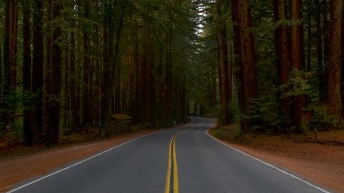 Situated Between San Francisco And Santa Rosa Is California's Hidden Valley For A Lush Countryside Escape