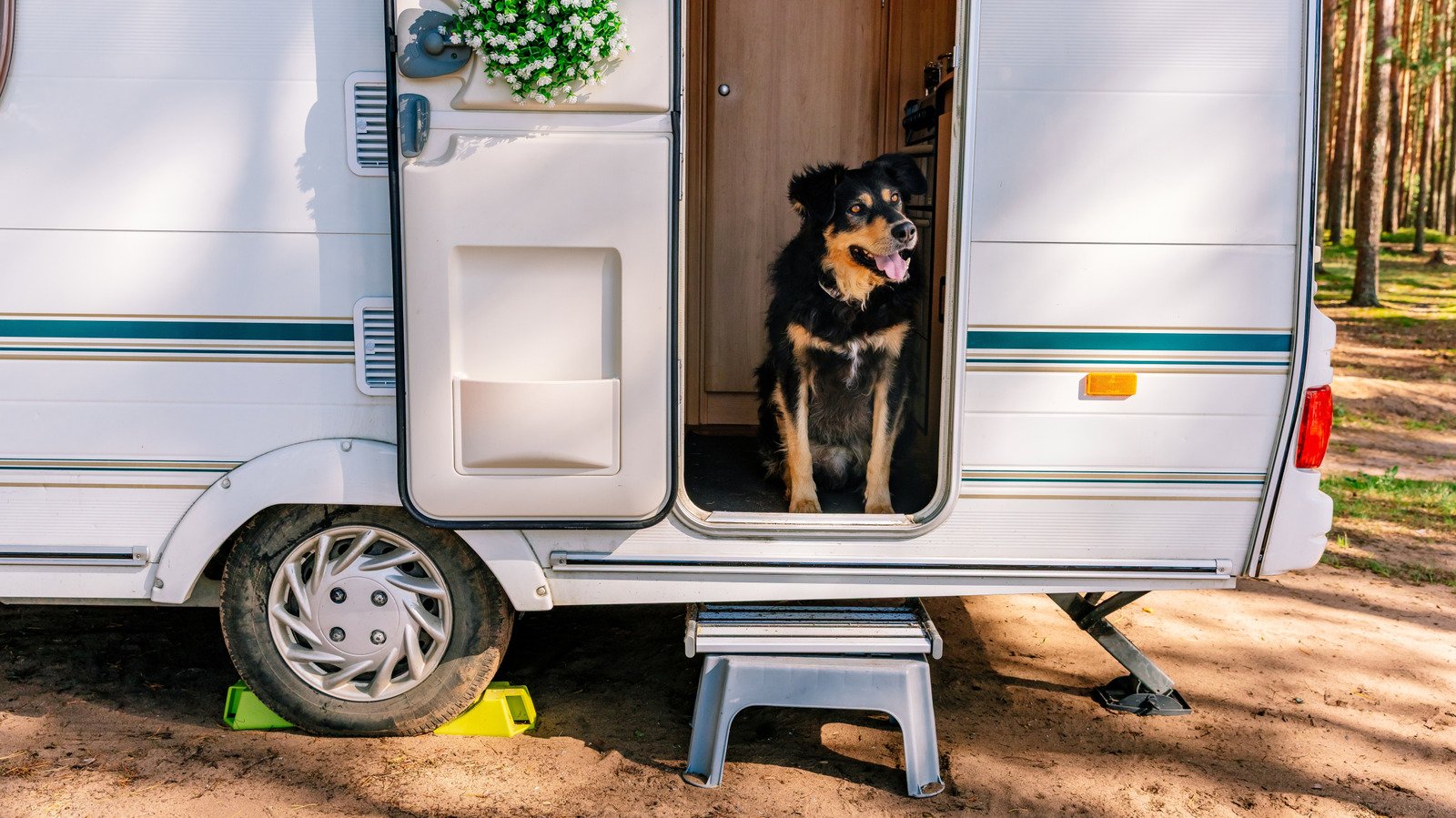 The Best KOA Campgrounds Around North America For Stunning Views And Exciting Attractions