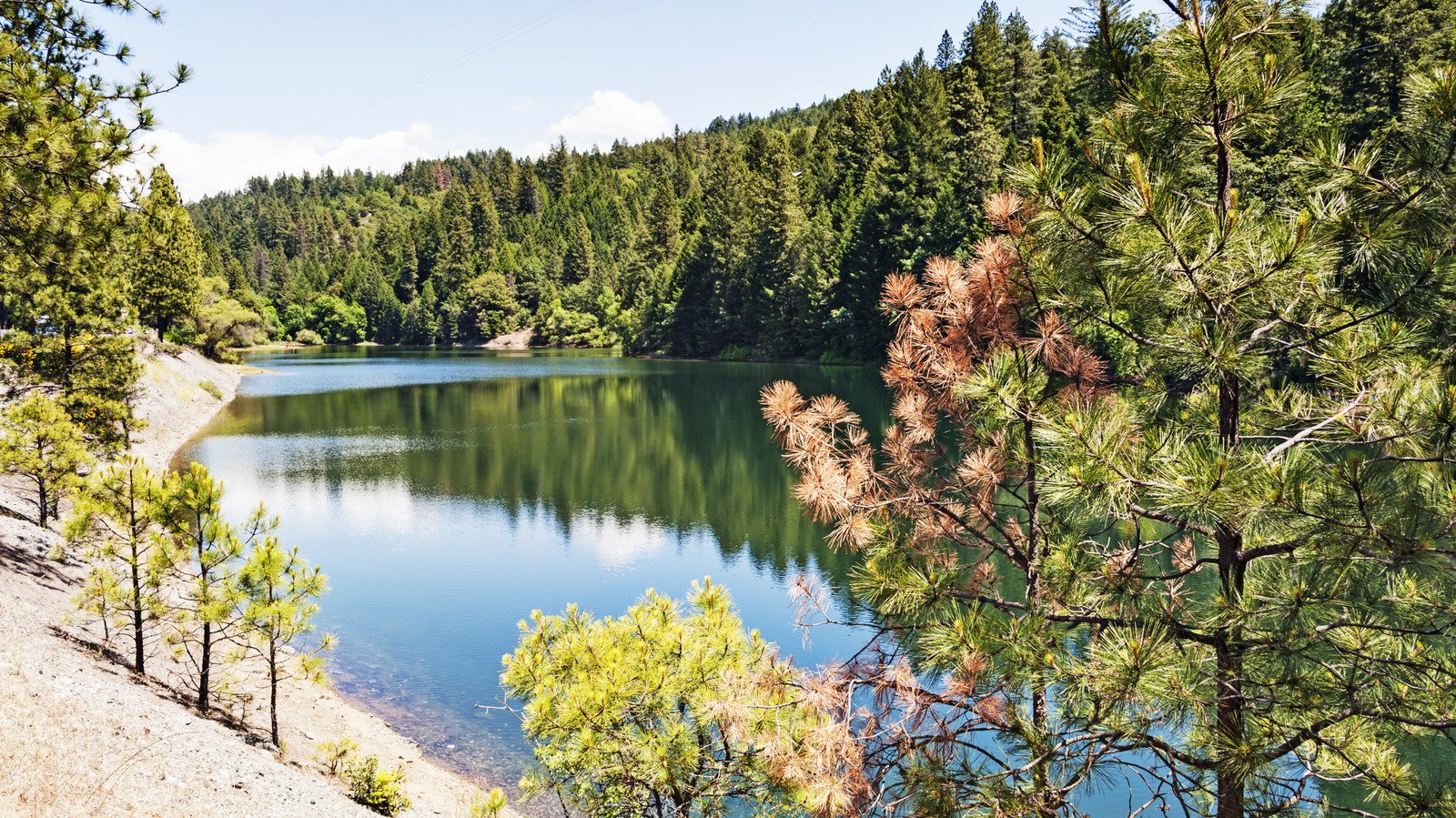 Nestled In The Sierra Foothills Is California's Striking Lake With Camping, Fishing, And Nearby Shops And Eats