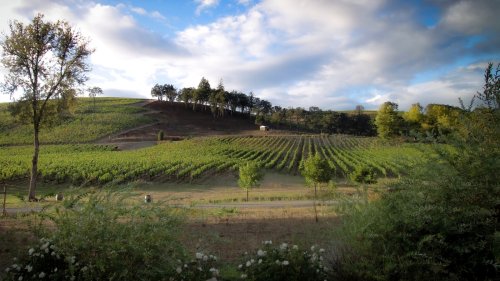 This Upscale Hotel Tucked Inside Oregon's Wine Country Is A Sanctuary Of Slow With A Focus On Local Produce