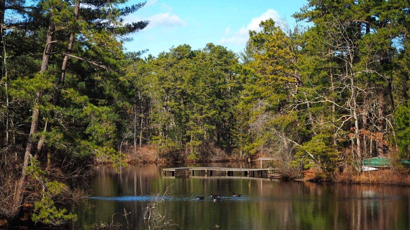 Between Philly And The Jersey Shore Is New Jersey's Underrated Wildlife Refuge With Scenic Wetlands And Trails