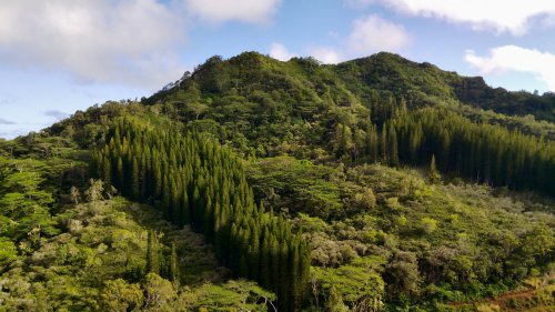 One Of Kauai's Most Iconic Mountains Is An Accessible And Culturally Significant Gem With Majestic Views