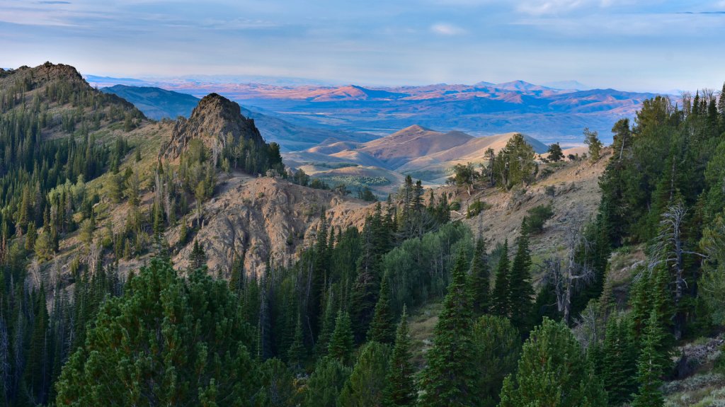 Western States Trout Challenge