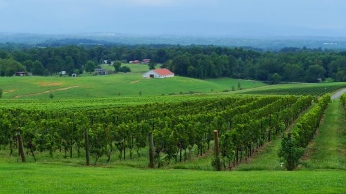 The Blue Ridge Mountains Hides One Of America's Most Underrated Wine Regions With Renowned Flavors And Views