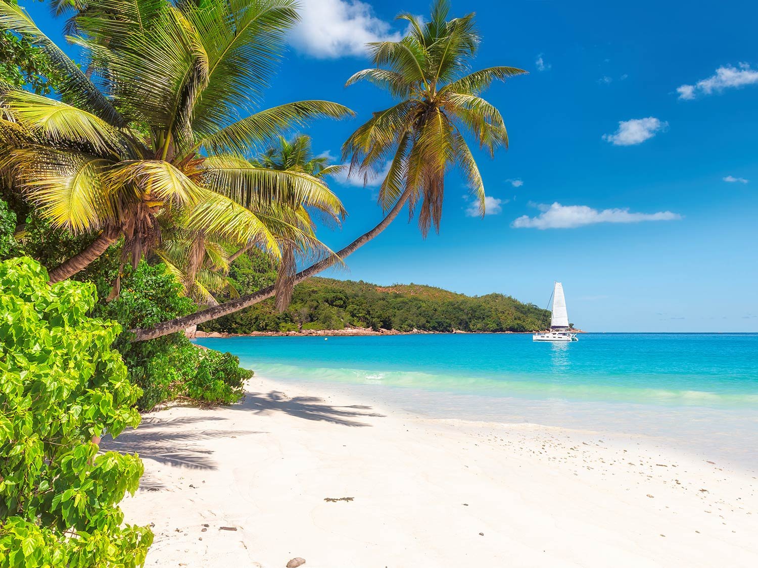 Best Beach Resorts in Jamaica