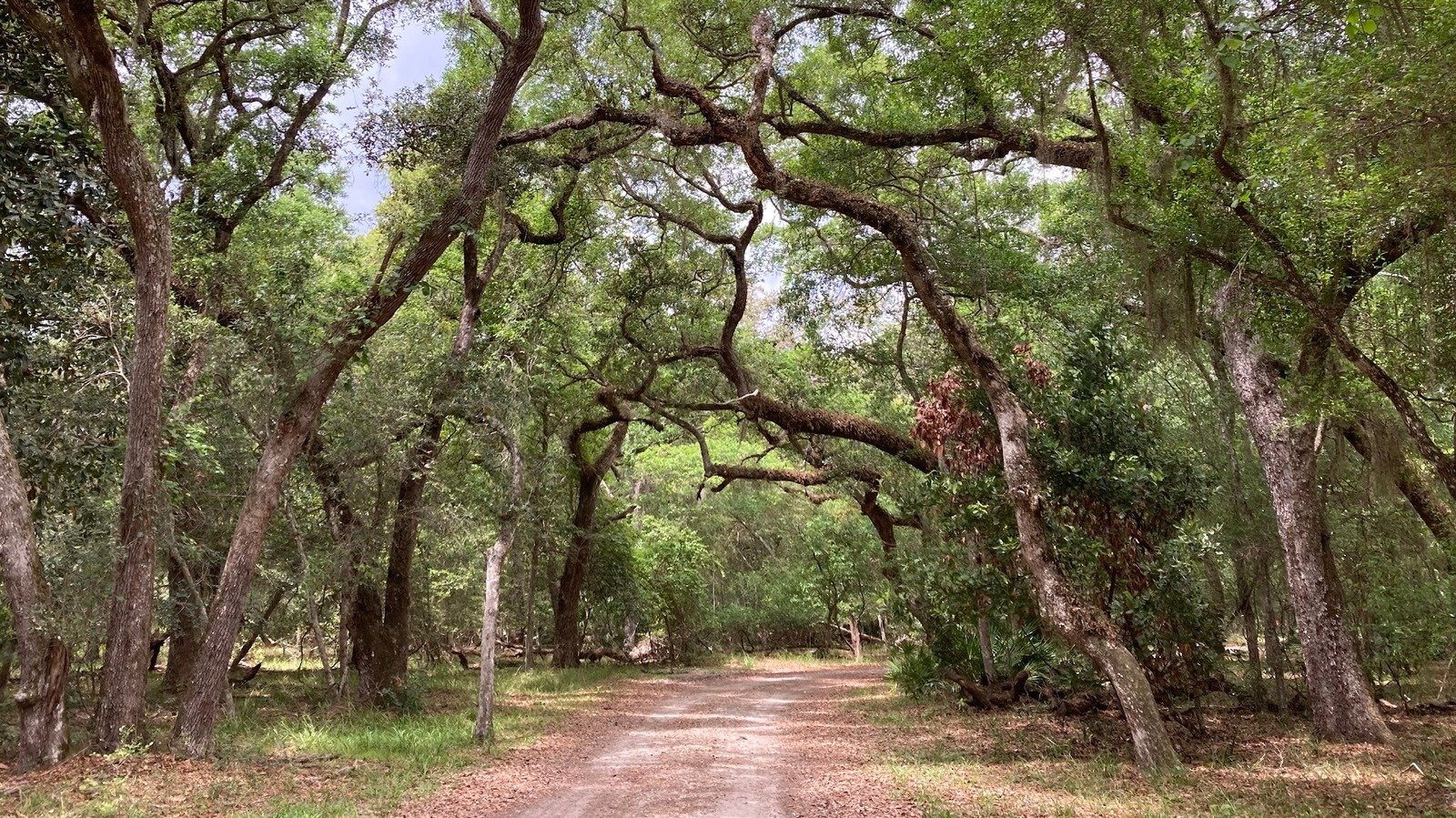 Forget Everglades National Park, Visit Florida's Nature Preserve With Less-Crowded Beaches And Trails