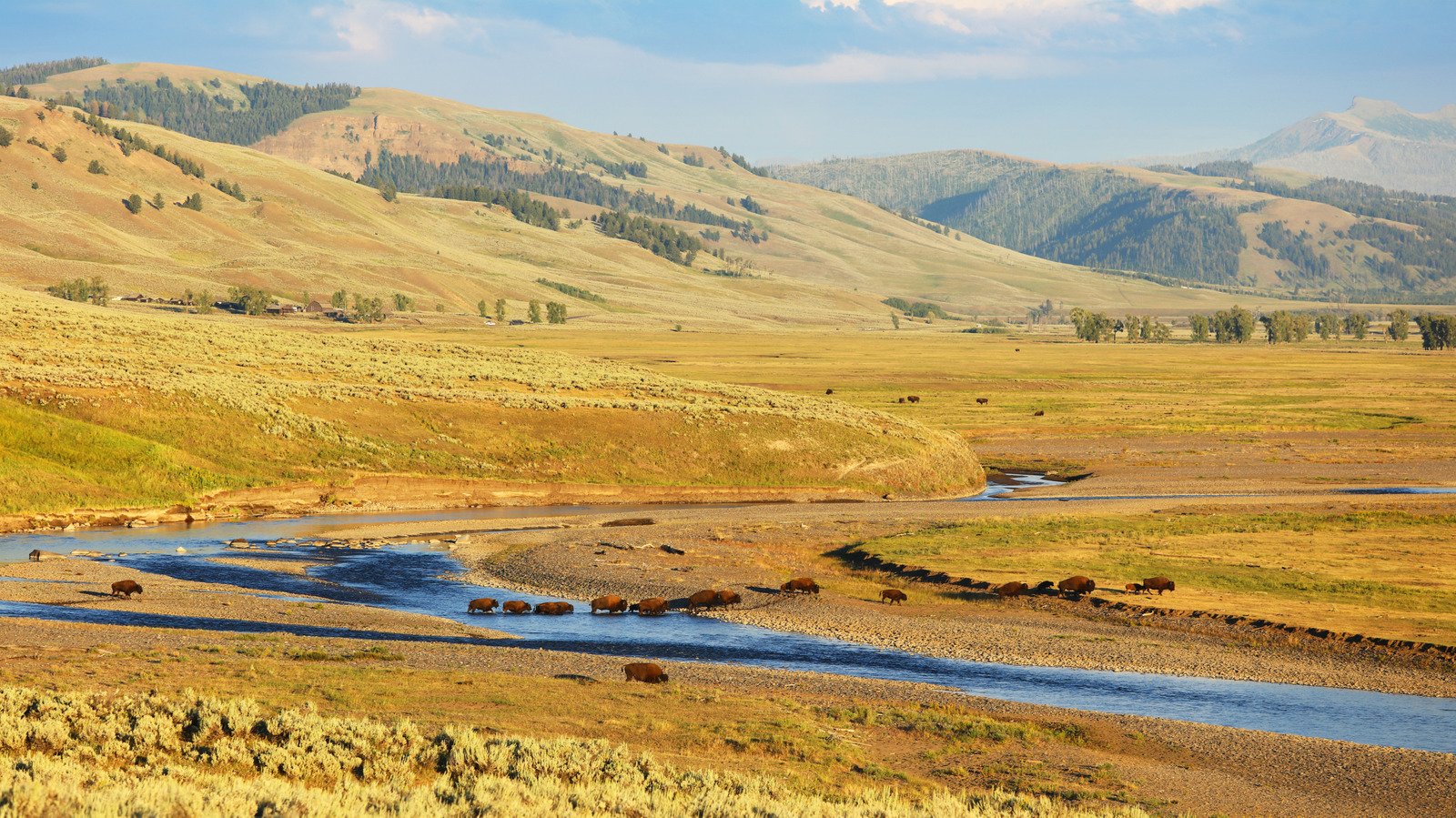 11 Tips From Park Rangers For Enjoying Yellowstone National Park