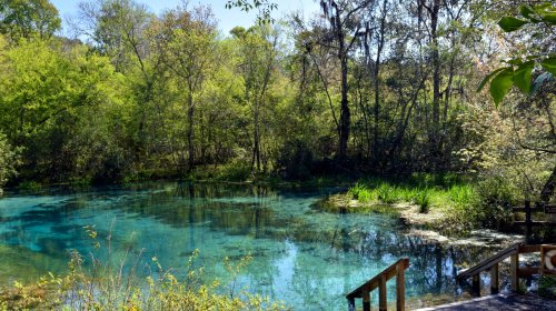One Of North Florida's Most Scenic Towns Is A Charming Gateway To Crystal-Clear Springs And River Adventures