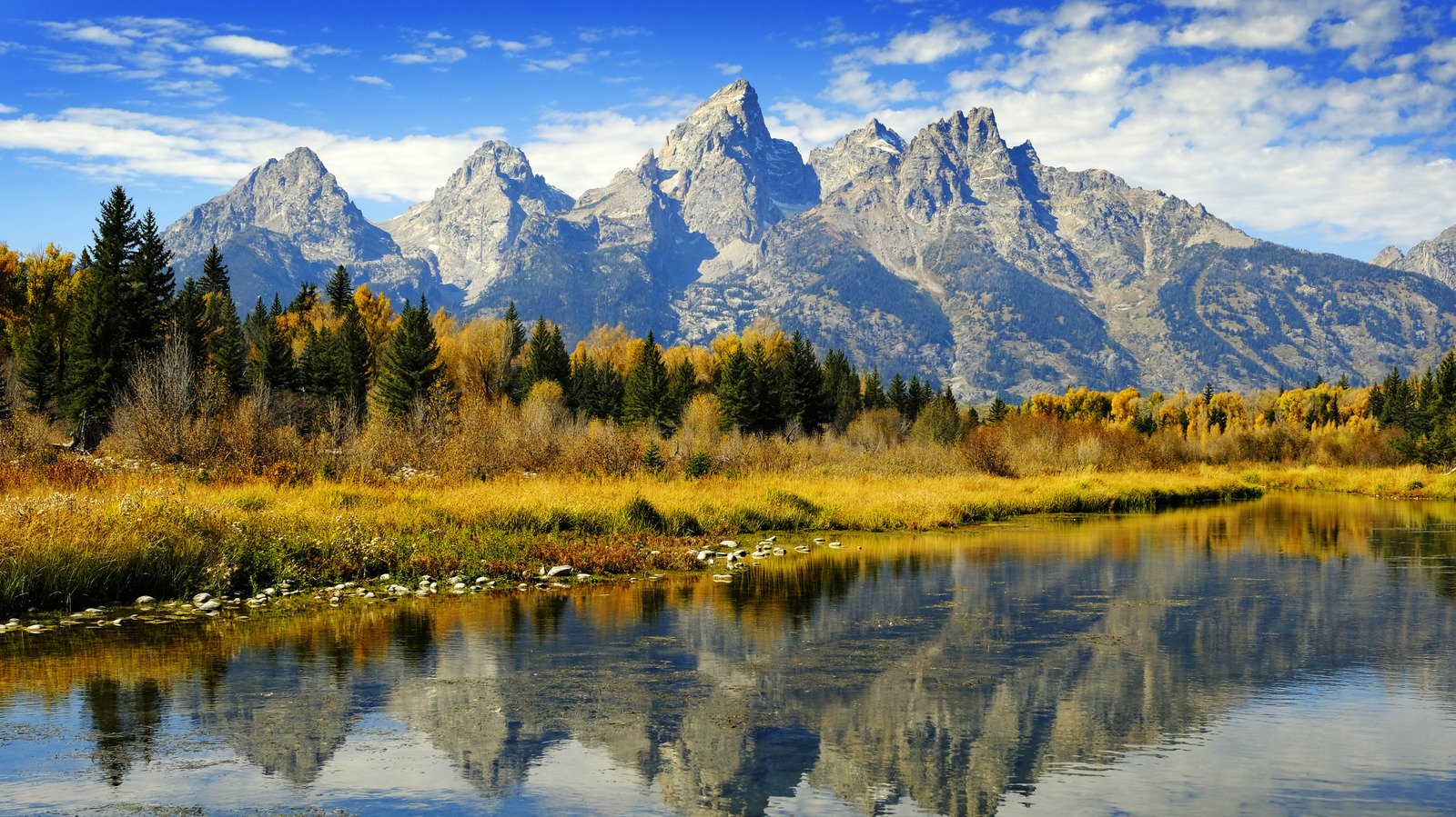 One Of Grand Teton National Park's Most Scenic Drives Offers The Chance To See Roaming Bison And Mountain Views