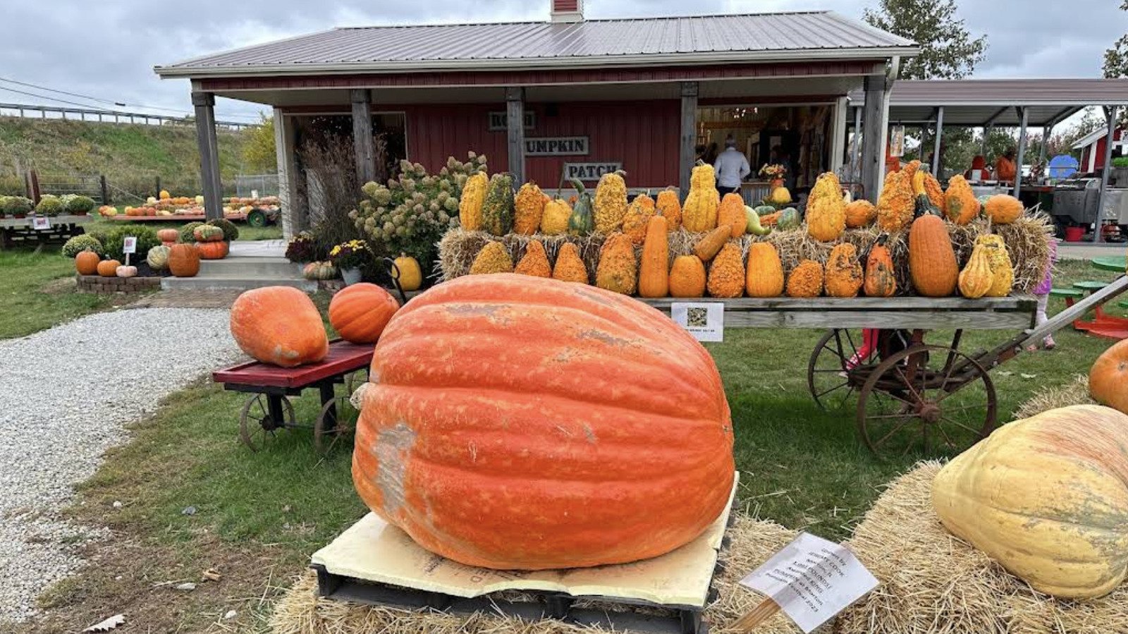 'The Pumpkin Capital Of The World' Is Illinois' Charming Village Suburb Full Of Delightful Fall Festivities