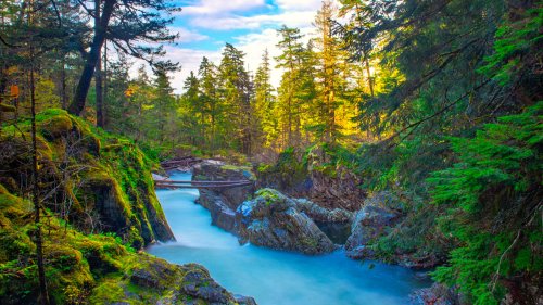 Vancouver Island's Easy Waterfall Hike Through A Forested Fairyland Offers Lake Swimming And Camping