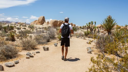 One Of California's Most Scenic Campgrounds Is A Joshua Tree Paradise Surrounded By Giant Climbable Rocks