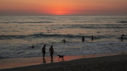 The 5 Best Beaches In All Of San Diego For Your Next Vacation