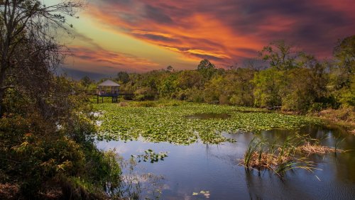 Just Outside Tampa On Florida's Gulf Coast Is An Unsung Park-Filled City With Trails And Fun Shops