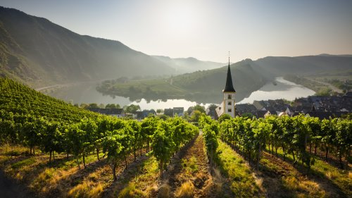 Rick Steves Says This Under-The-Radar German River Is Just As Scenic As The Rhine Without The Crowds
