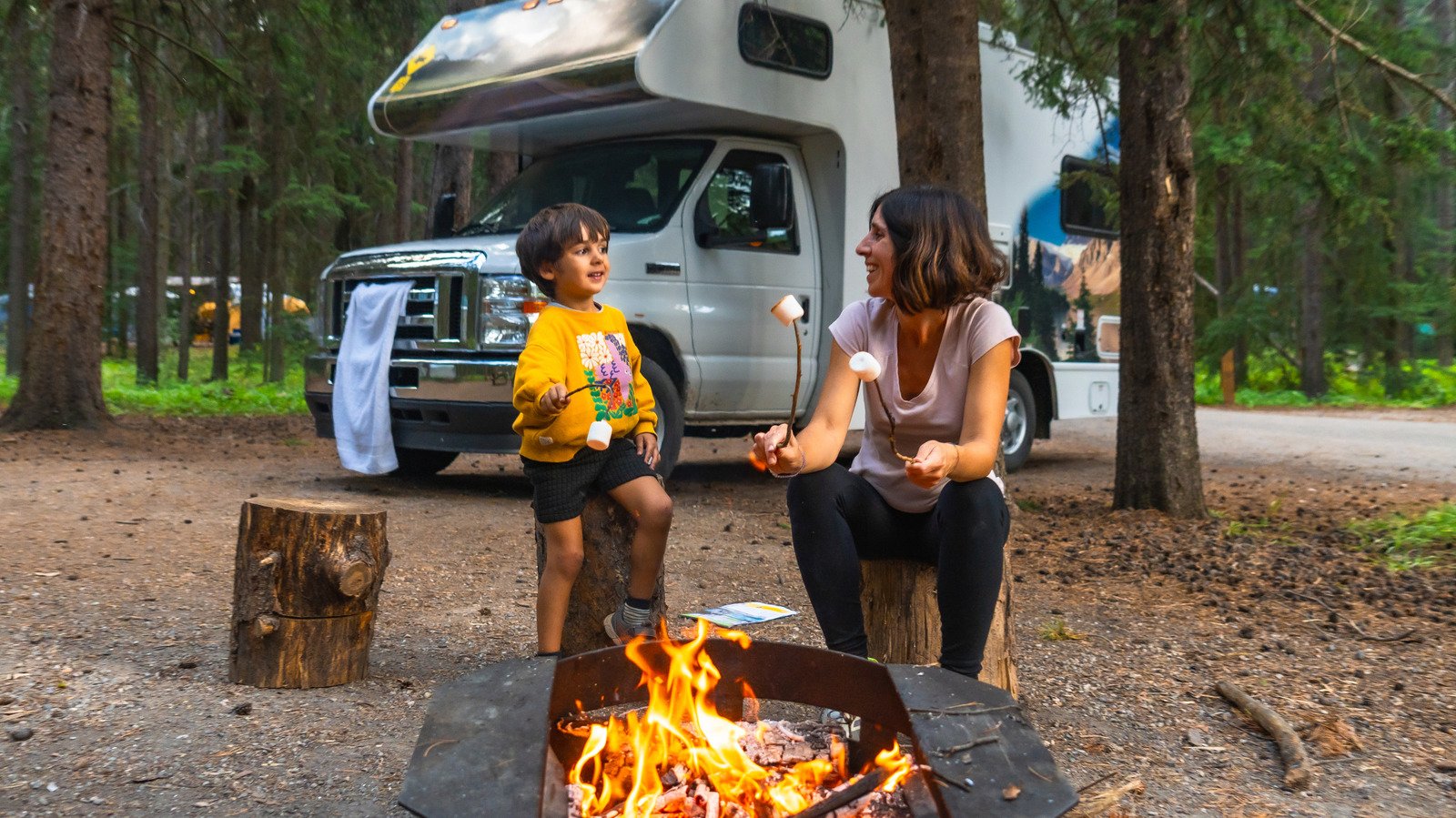 10 Costco Items You Need To Perfectly Organize Your RV