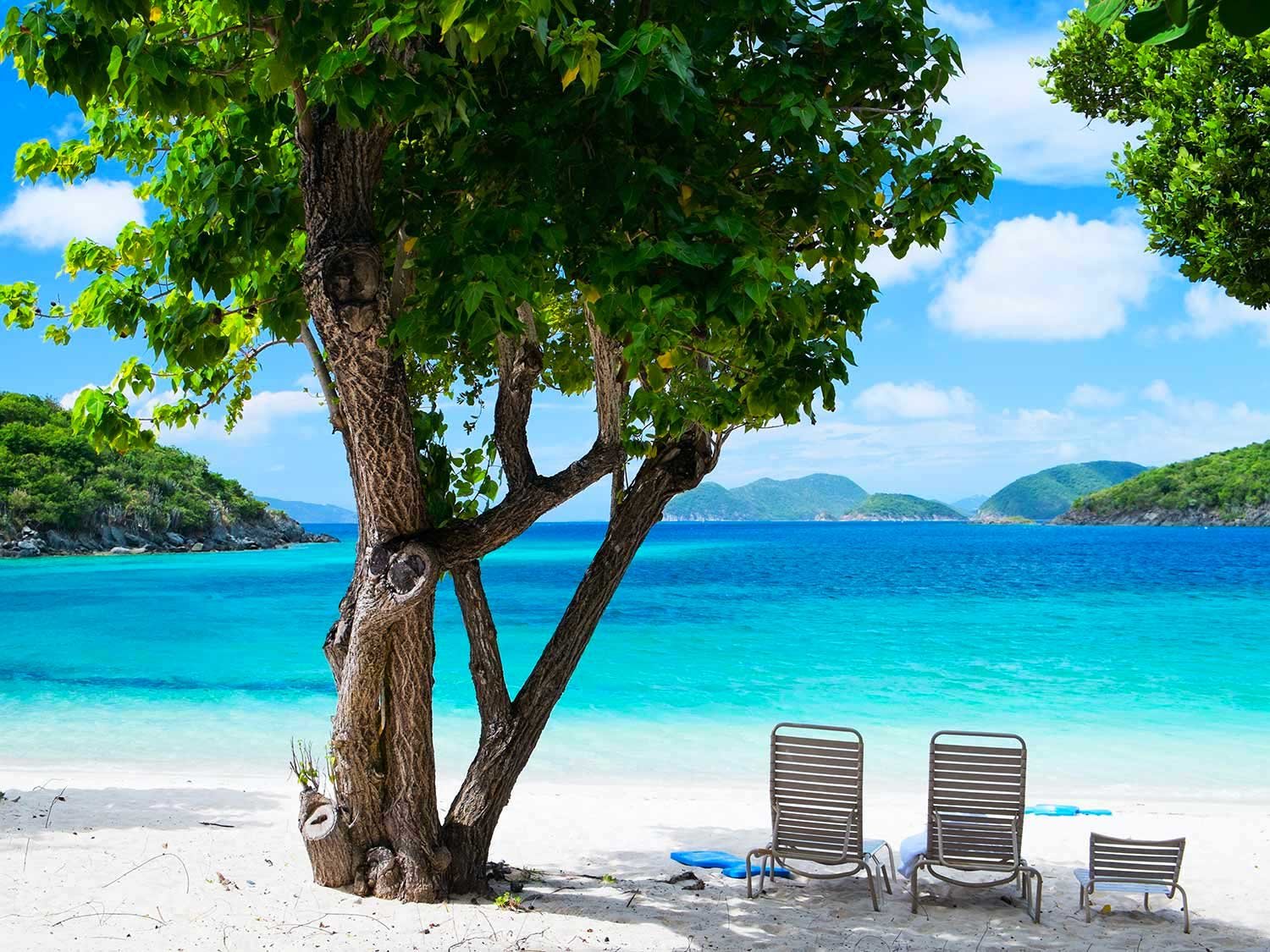 Best Family-Friendly Hotels in the U.S. Virgin Islands