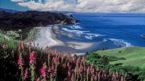 One Of Oregon's Most Majestic Coast Destinations Is A Dramatic Headland Full Of Diverse Flora And Fauna