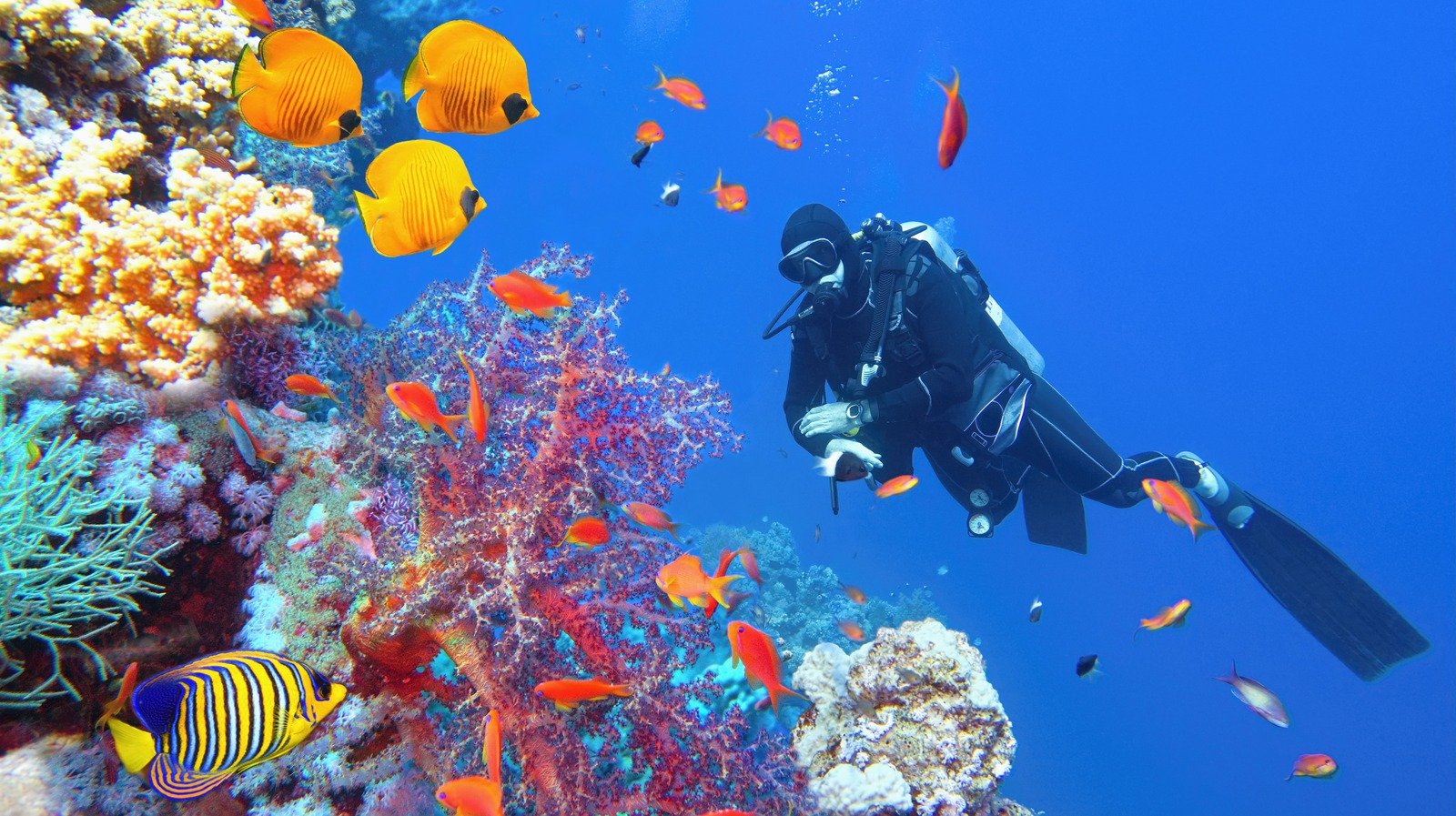 Why You Should Avoid Flying Right After Scuba Diving